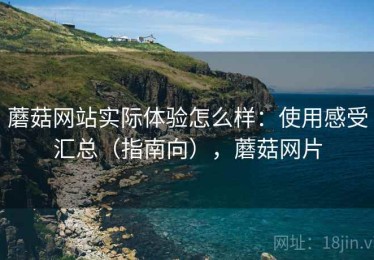 蘑菇网站实际体验怎么样：使用感受汇总（指南向），蘑菇网片