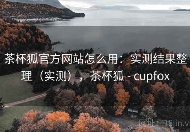 茶杯狐官方网站怎么用：实测结果整理（实测），茶杯狐 - cupfox