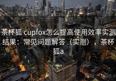 茶杯狐 cupfox怎么提高使用效率实测结果：常见问题解答（实测），茶杯狐a