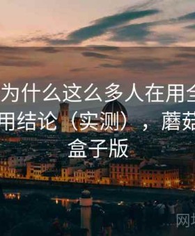 蘑菇tv为什么这么多人在用全解析：长期使用结论（实测），蘑菇影视tv盒子版