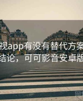 可可影视app有没有替代方案：长期使用结论，可可影音安卓版下载