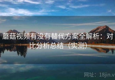 蘑菇视频有没有替代方案全解析：对比分析总结（实测）