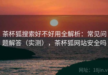 茶杯狐搜索好不好用全解析：常见问题解答（实测），茶杯狐网站安全吗