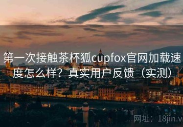 第一次接触茶杯狐cupfox官网加载速度怎么样？真实用户反馈（实测）
