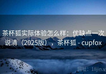 茶杯狐实际体验怎么样：优缺点一次说清（2025版），茶杯狐 - cupfox