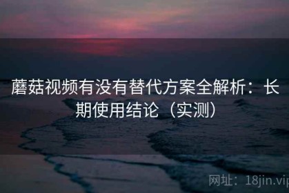 蘑菇视频有没有替代方案全解析：长期使用结论（实测）