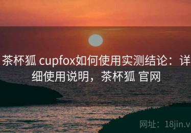 茶杯狐 cupfox如何使用实测结论：详细使用说明，茶杯狐 官网