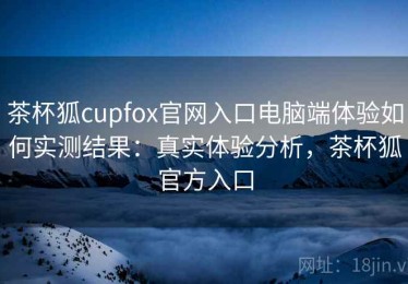 茶杯狐cupfox官网入口电脑端体验如何实测结果：真实体验分析，茶杯狐官方入口