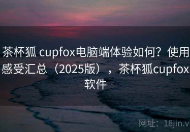 茶杯狐 cupfox电脑端体验如何？使用感受汇总（2025版），茶杯狐cupfox软件
