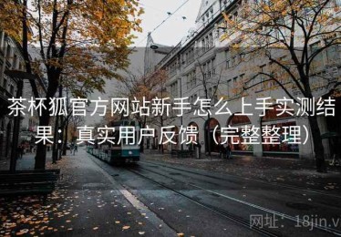 茶杯狐官方网站新手怎么上手实测结果：真实用户反馈（完整整理）
