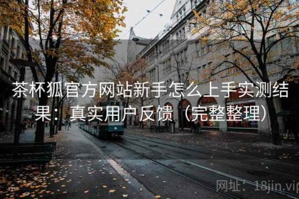 茶杯狐官方网站新手怎么上手实测结果：真实用户反馈（完整整理）