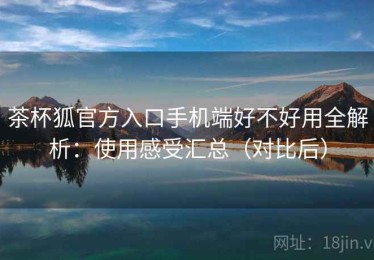 茶杯狐官方入口手机端好不好用全解析：使用感受汇总（对比后）