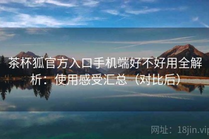 茶杯狐官方入口手机端好不好用全解析：使用感受汇总（对比后）