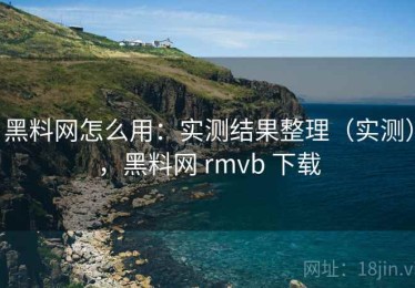 黑料网怎么用：实测结果整理（实测），黑料网 rmvb 下载