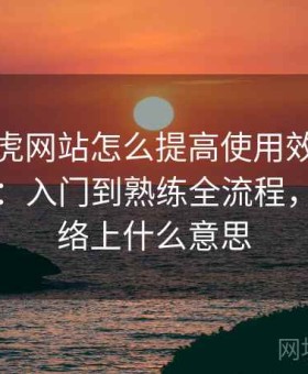 关于白虎网站怎么提高使用效率的完整整理：入门到熟练全流程，白虎网络上什么意思