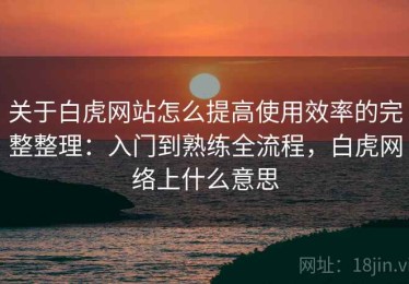 关于白虎网站怎么提高使用效率的完整整理：入门到熟练全流程，白虎网络上什么意思