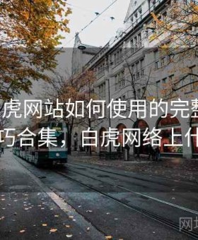 关于白虎网站如何使用的完整整理：实用技巧合集，白虎网络上什么意思