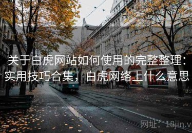 关于白虎网站如何使用的完整整理：实用技巧合集，白虎网络上什么意思
