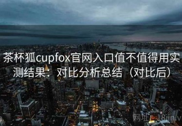茶杯狐cupfox官网入口值不值得用实测结果：对比分析总结（对比后）