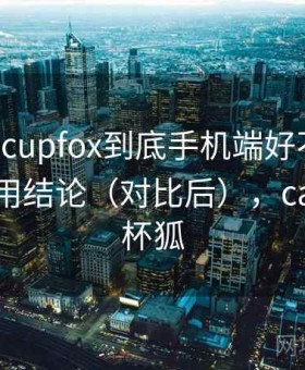 茶杯狐 cupfox到底手机端好不好用？长期使用结论（对比后），capfox茶杯狐