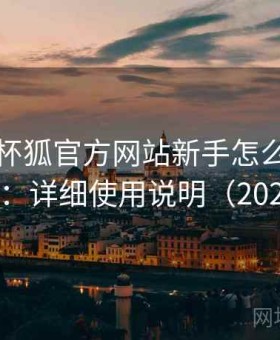 关于茶杯狐官方网站新手怎么上手的整理：详细使用说明（2025版）