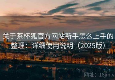 关于茶杯狐官方网站新手怎么上手的整理：详细使用说明（2025版）