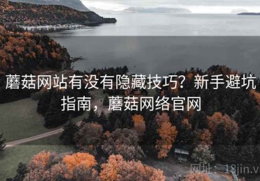 蘑菇网站有没有隐藏技巧？新手避坑指南，蘑菇网络官网