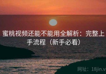 蜜桃视频还能不能用全解析：完整上手流程（新手必看）
