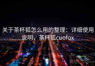关于茶杯狐怎么用的整理：详细使用说明，茶杯狐cuofox