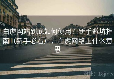 白虎网站到底如何使用？新手避坑指南（新手必看），白虎网络上什么意思