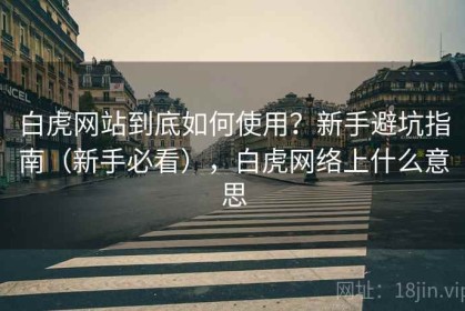 白虎网站到底如何使用？新手避坑指南（新手必看），白虎网络上什么意思