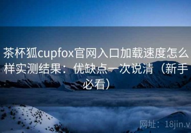 茶杯狐cupfox官网入口加载速度怎么样实测结果：优缺点一次说清（新手必看）
