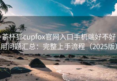茶杯狐cupfox官网入口手机端好不好用问题汇总：完整上手流程（2025版）