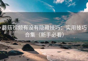 蘑菇视频有没有隐藏技巧：实用技巧合集（新手必看）
