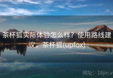 茶杯狐实际体验怎么样？使用路线建议，茶杯狐(upfox)