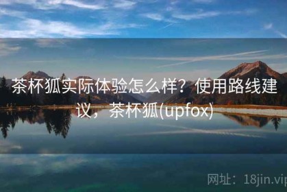 茶杯狐实际体验怎么样？使用路线建议，茶杯狐(upfox)