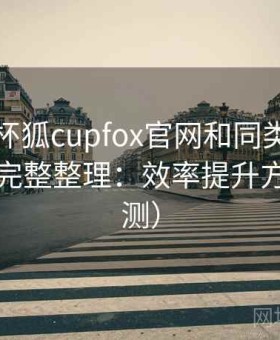 关于茶杯狐cupfox官网和同类相比怎么样的完整整理：效率提升方法（实测）