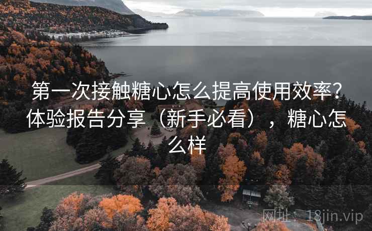 第一次接触糖心怎么提高使用效率？体验报告分享（新手必看），糖心怎么样