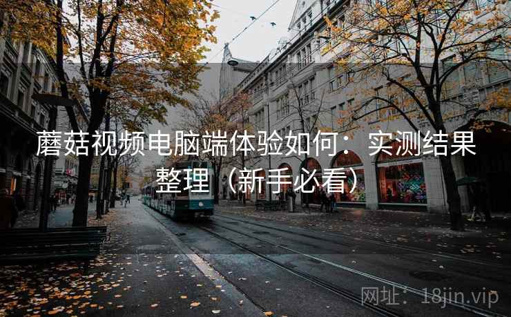蘑菇视频电脑端体验如何：实测结果整理（新手必看）