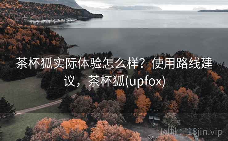 茶杯狐实际体验怎么样？使用路线建议，茶杯狐(upfox)