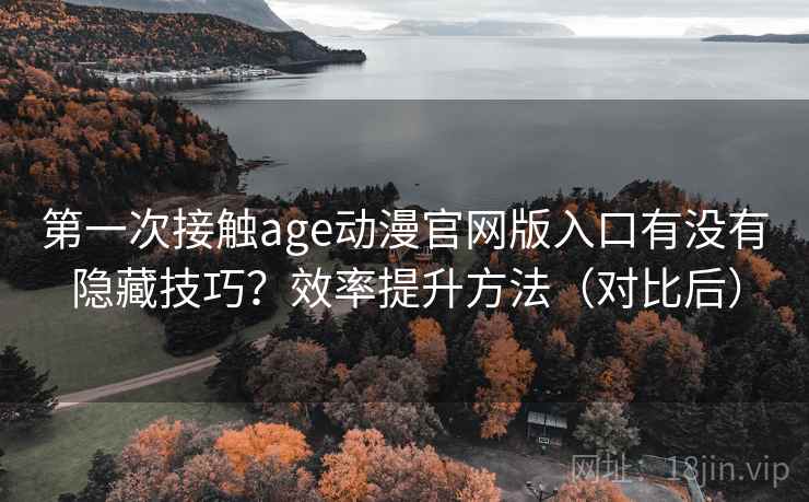 第一次接触age动漫官网版入口有没有隐藏技巧？效率提升方法（对比后）
