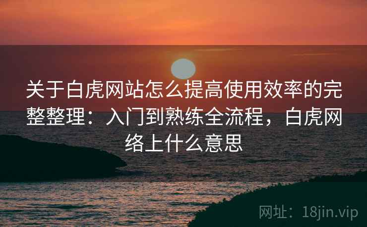 关于白虎网站怎么提高使用效率的完整整理：入门到熟练全流程，白虎网络上什么意思
